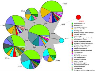 Cross-talk of MLST and transcriptome unveiling antibiotic resistance mechanism of carbapenem resistance Acinetobacter baumannii clinical strains isolated in Guiyang, China